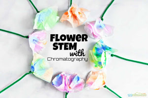 Beautiful Chromatography Flowers Science Project