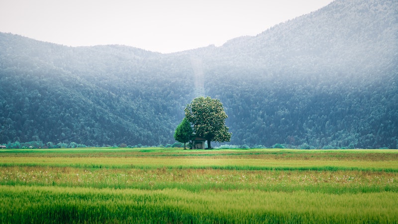 A Poem for Reflection