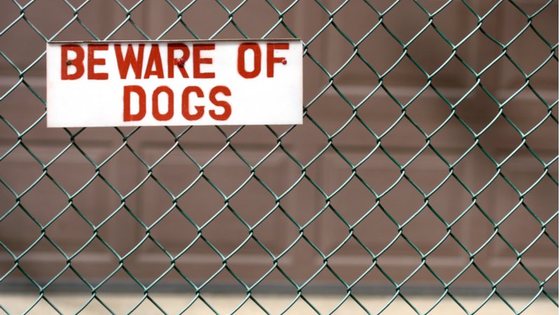 Secession as the Lifestyle Enemy of Climate Change Solutions