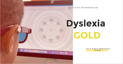 Catch up intervention with Dyslexia Gold ~ a TOS review