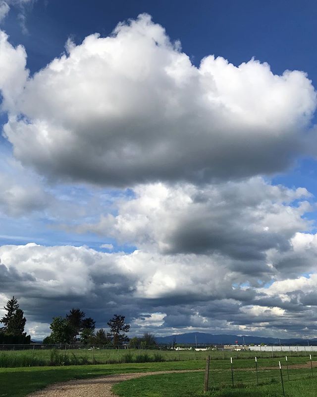 Hasped and hooped and hirpling, but hopeful