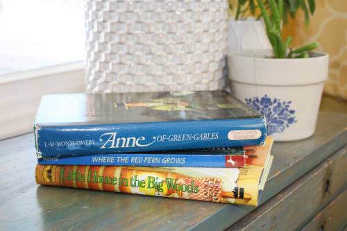 Top Literature Guides for Homeschoolers