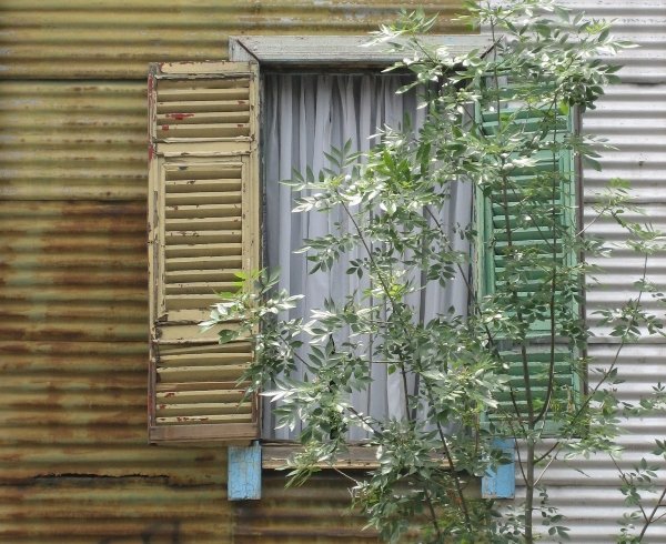 A 50th Anniversary to Remember