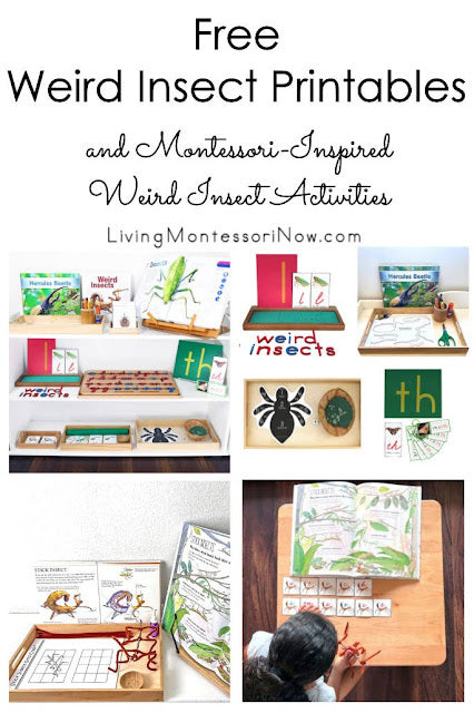Montessori-Inspired Weird Insect Activities Using Free Printables