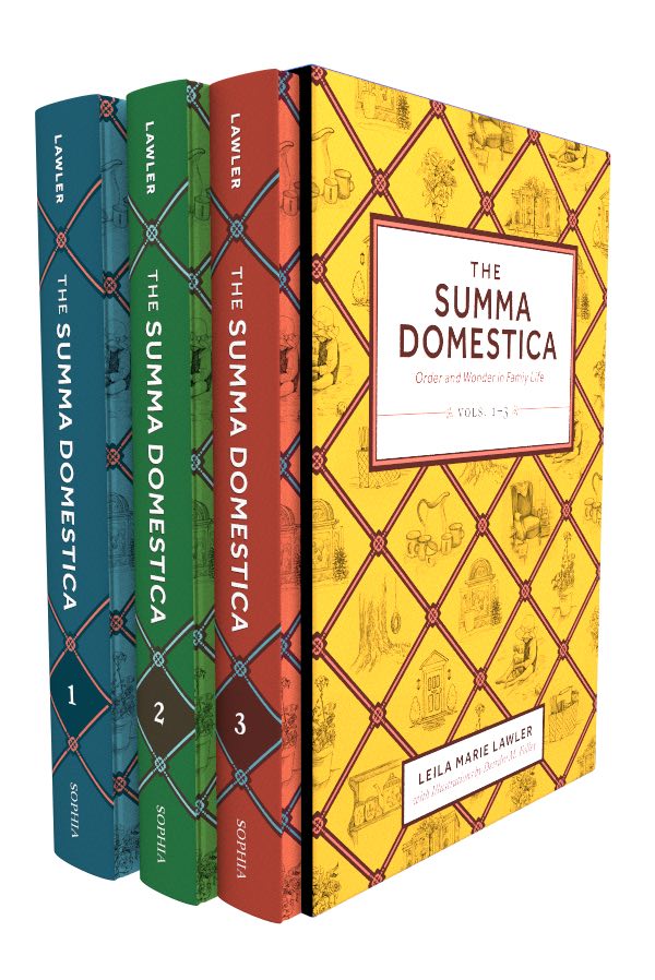 Ta-Da! Behold my book(s): The Summa Domestica!