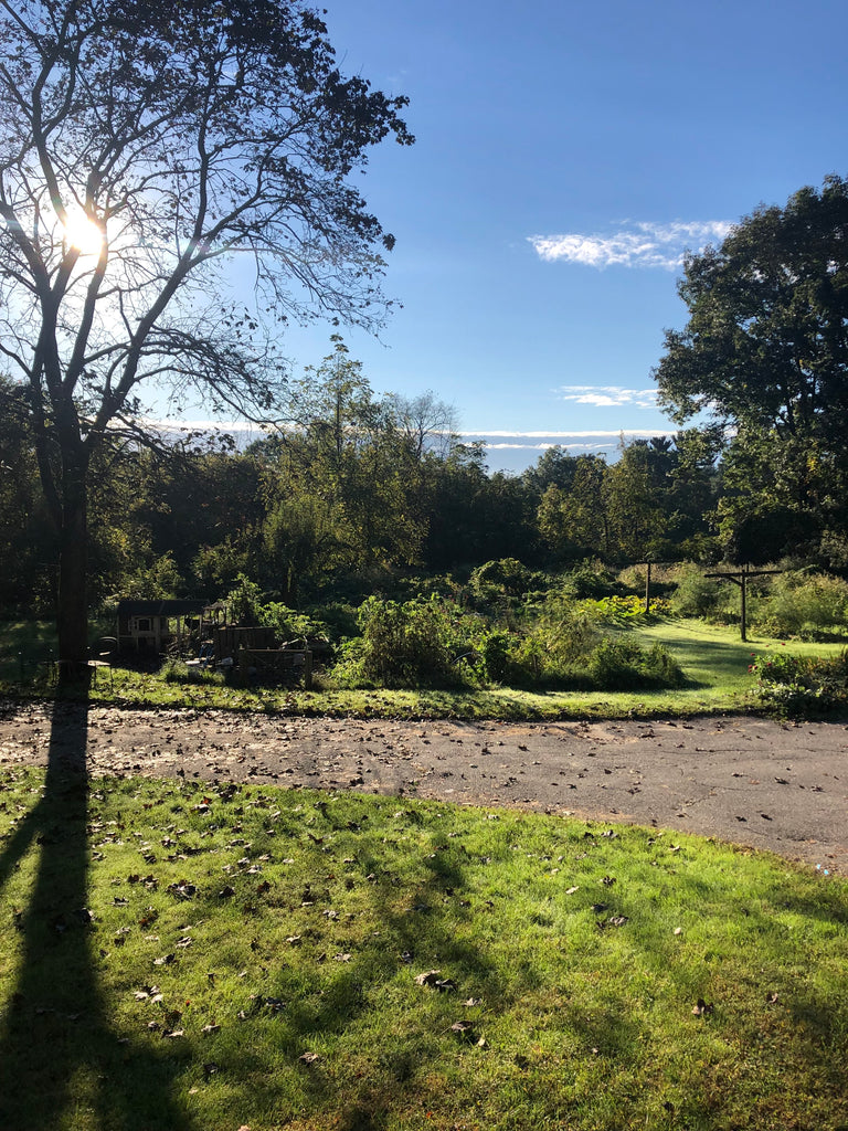 Our kids are stressed out