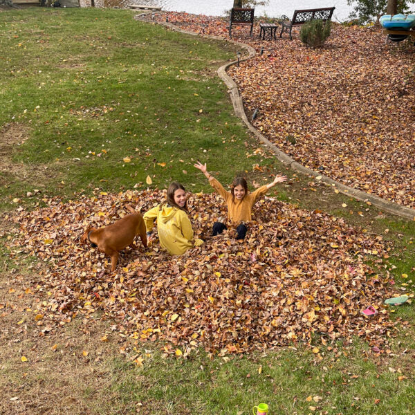 Emotions & November Goals