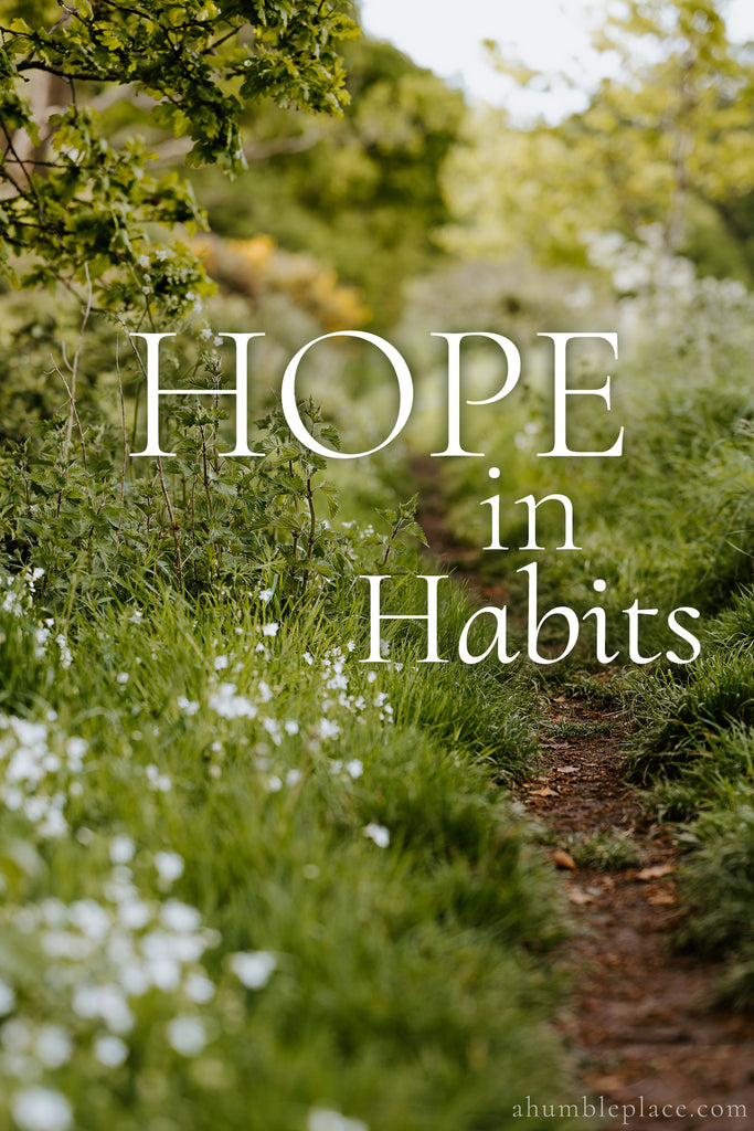 Hope in Habits