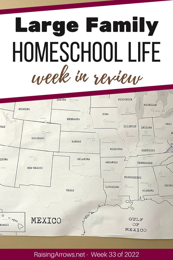 Large Family Homeschool Life – Week 33 of 2022