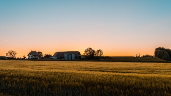 To Be or Not To Be (A Country Girl)….