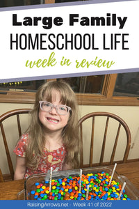 Large Family Homeschool Life – Week 41 of 2022
