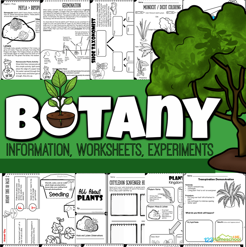 Plant Lesson – 80 pages on Botany for Kids