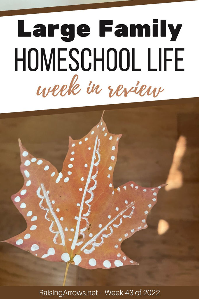 Large Family Homeschool Life – Week 43 of 2022