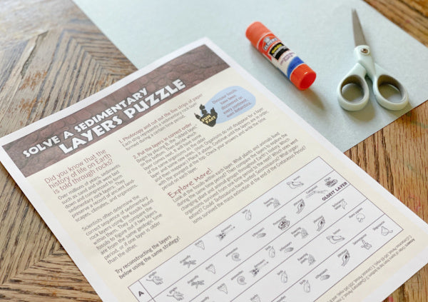 Dinosaur Layers Geology Timeline